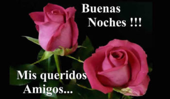 buenas noches frases