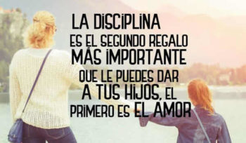 disciplina frases