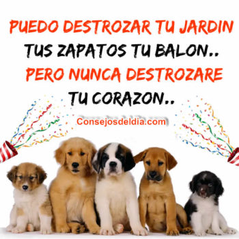 destrozar tu corazon