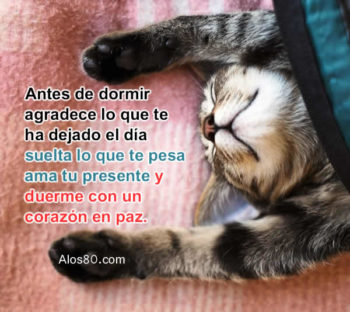 dormir frases