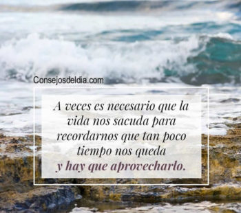 frases la vida