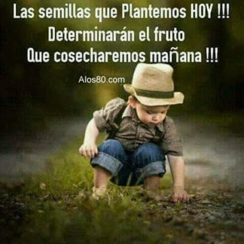 mañana frases