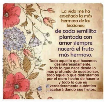 semilla frases