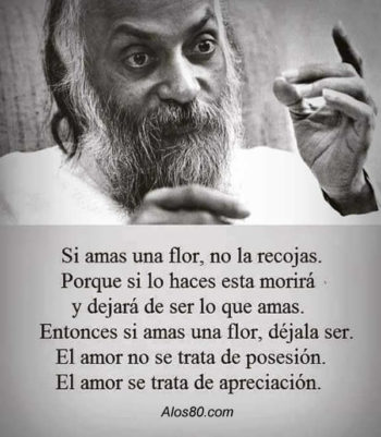 flor frases