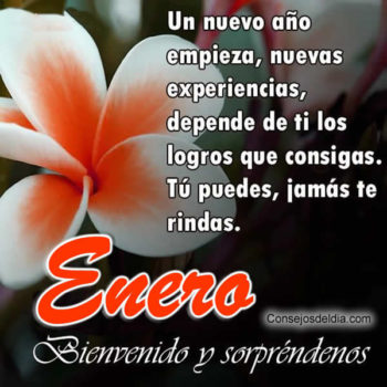 frases enero