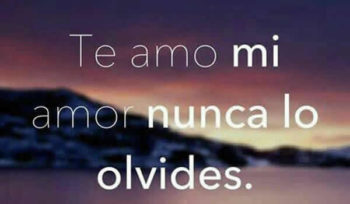 te amo