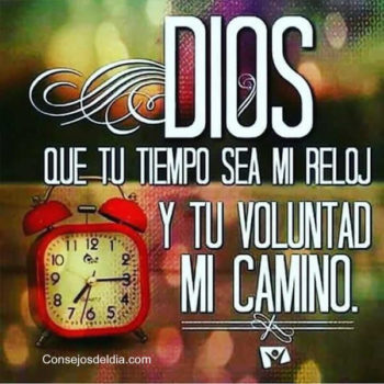 frases de tu voluntad