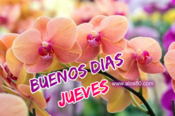 jueves dia