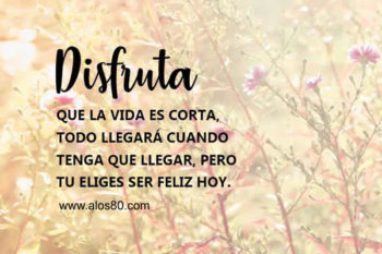 la felicidad