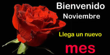 frases noviembre