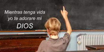 adorar frases