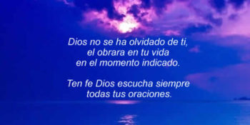 oraciones frases