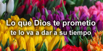 promesas