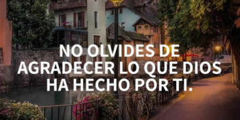 agradecimiento frases