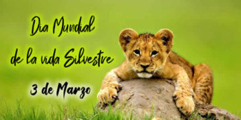 vida silvestre