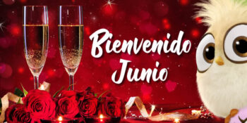 bienvenido junio