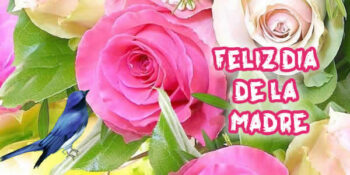 dia de la madre