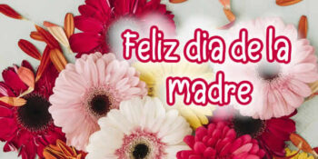 feliz dia mama