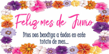 frases junio