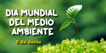 dia mundial del medio ambiente