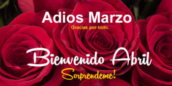 abril imagenes