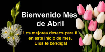 abril frases