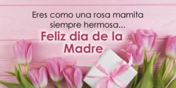 dia de la madre