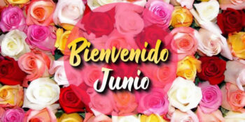 frases de junio