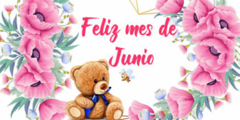 junio frases