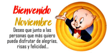 noviembre frases