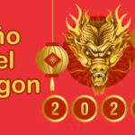 año del dragon